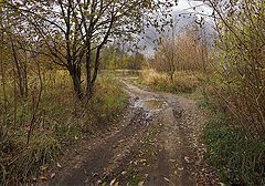 photo "***"