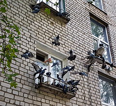 фото "Да не оскудеет рука дающего..."