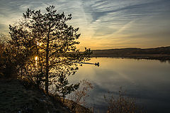 photo "***"