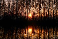 photo "***"