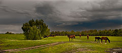 фото "Грозовой фронт"