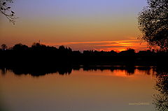 photo "***"