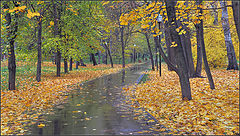 photo "the autumn avenue in park"