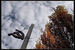 фото "День 7-го ноября — красный день календаря..."
