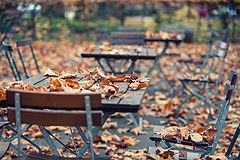 photo "***"