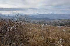фото "Первые заморозки."