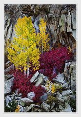 photo "***"