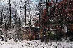 photo "***"