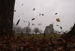 photo "Autumn flights"