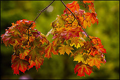 photo "***"
