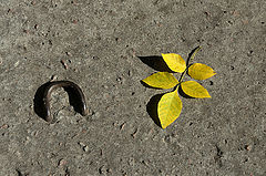 фото "***"