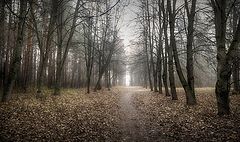 фото "Морось"