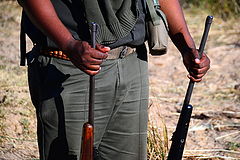 фото "Kruger National Park"