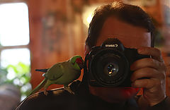 photo "***"