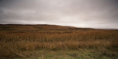 photo "***"