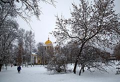 фото "В Петрозаводске наконец-то выпал снег..."