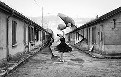photo "Черная завеса"