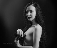 photo "кривицкий"
