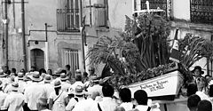 фото "procession"