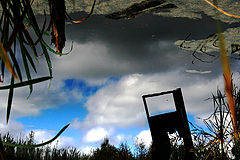 photo "***"
