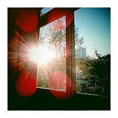 photo "***"
