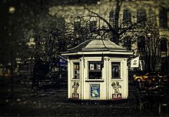 photo "***"