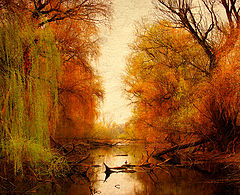 photo "InTheLonlyHour"