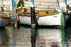 фото "reflections"