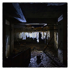 photo "***"