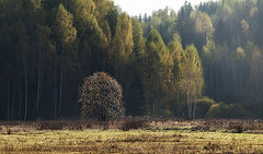 фото "Засентябрило"