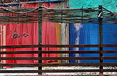 фото "***"