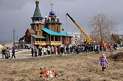фото "Прониклась"