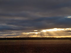 photo "***"