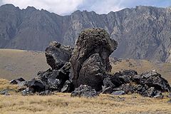 фото "Улитка на склоне_1"