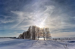фото "Зимние сцены"
