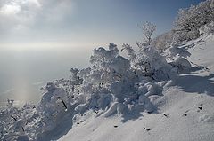 фото "Мороз и солнце."