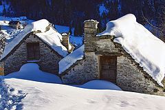 photo "Alpe"