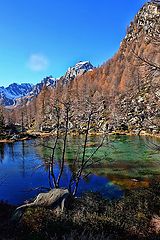 photo "Alpe"