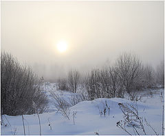 photo "On the morning of January."