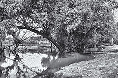 photo "***"