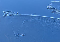 photo "***"