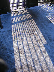 photo "Shadow"