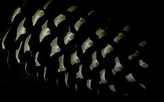 фото "***"