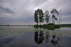 photo "***"