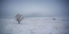 photo "***"