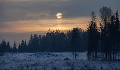 photo "***"