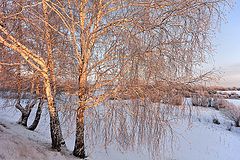 фото "Вечерний свет"