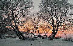 фото "..."