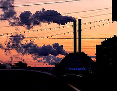 photo "***"