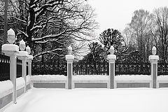 photo "***"